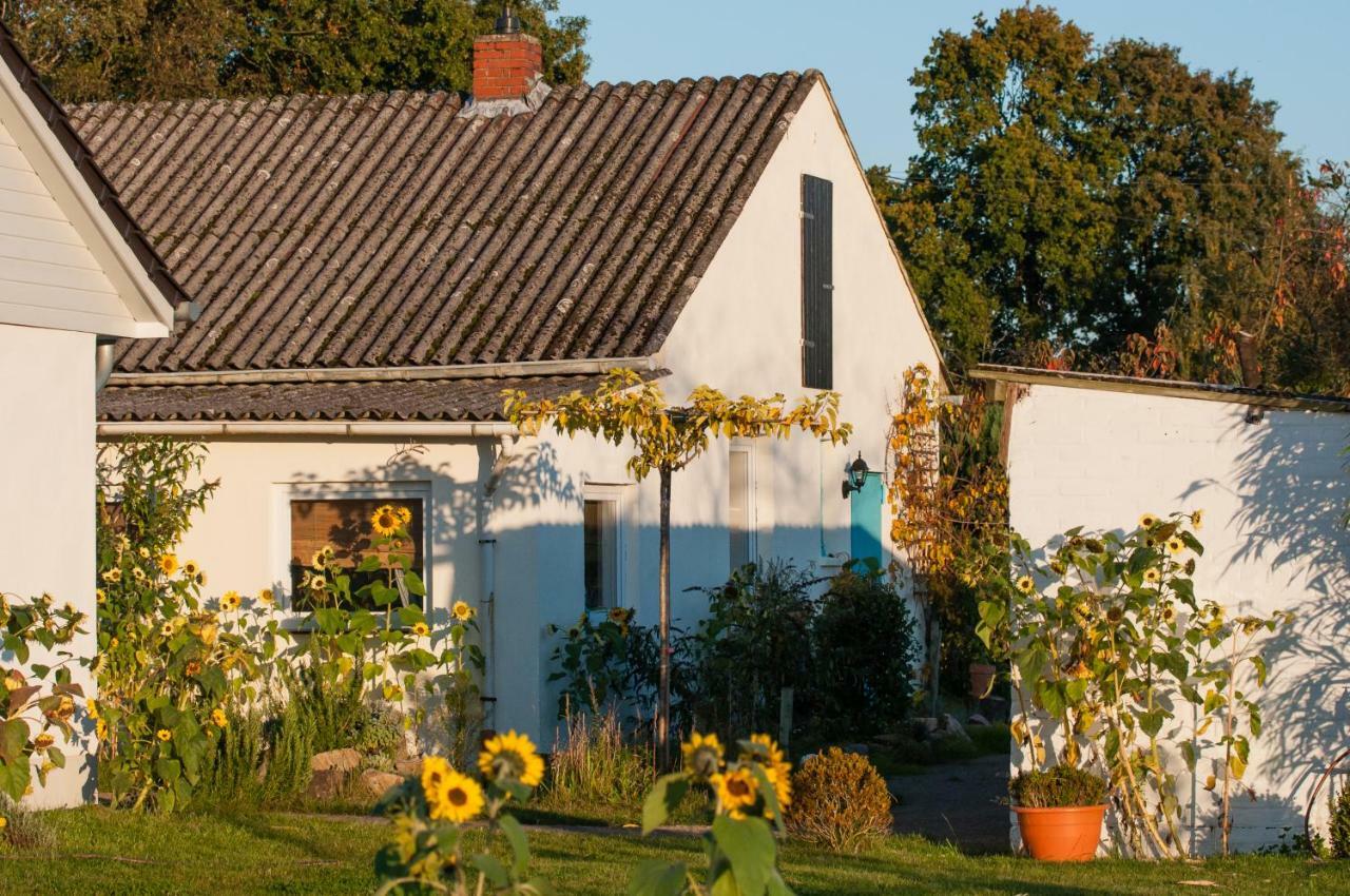Ferienlandhaus Riehenhaar Telgte Buitenkant foto